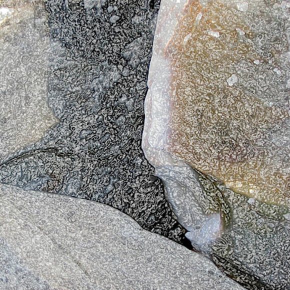 Meet your Posher, Katey - Picture 1 of 1